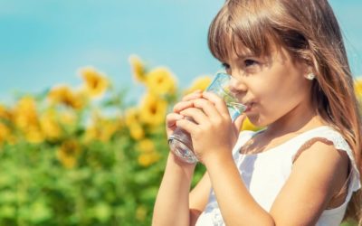 Woda alkaliczna – czym jest i dlaczego warto włączyć ją do swojej diety?