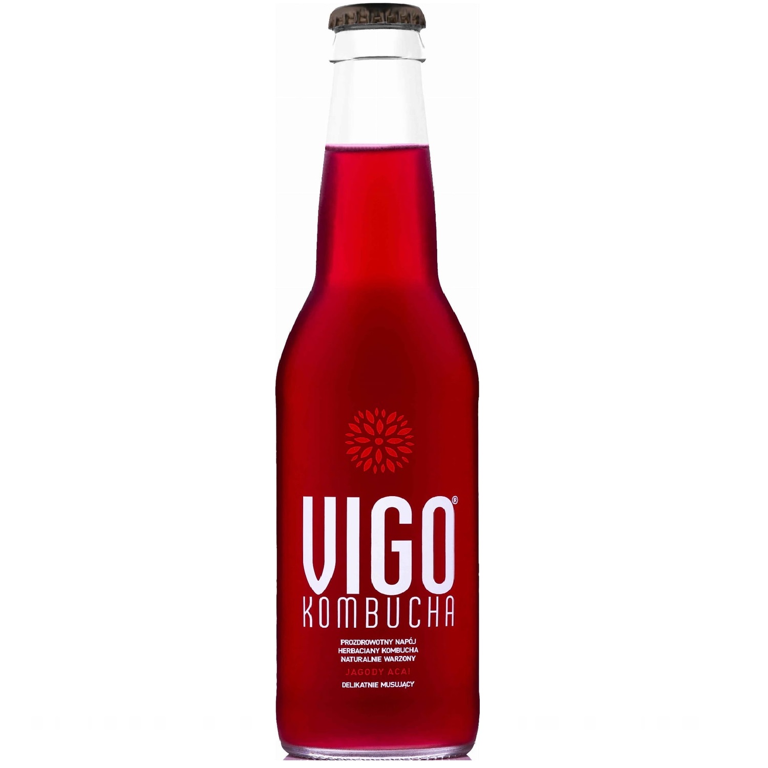 Vigo Kombucha Acai 0,33l
