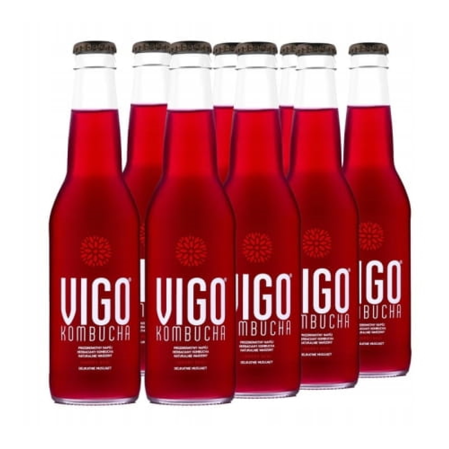 Vigo Kombucha Acai